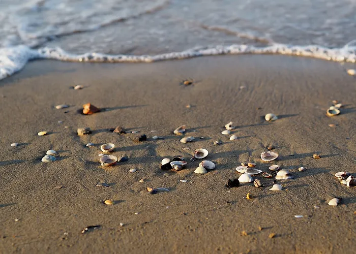 Renovated Flat Next To The Beach-beahost *